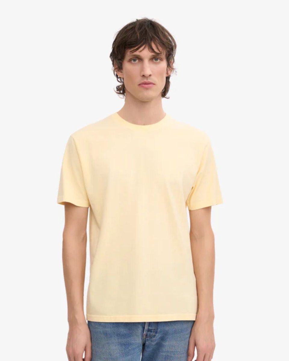 Camiseta básica algodón - Imagen 2